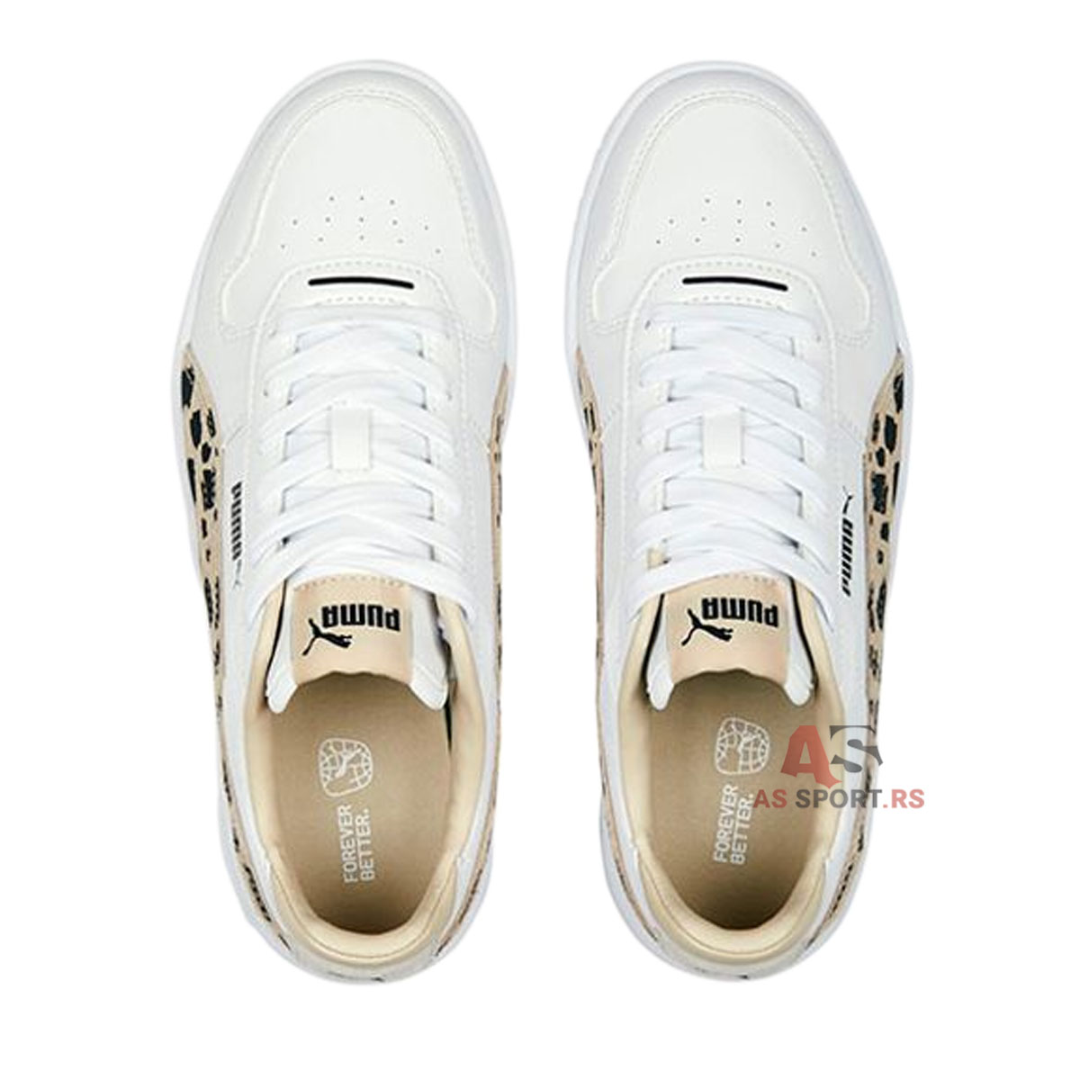 Carina Animal Jr 39 392024-01-t2Hp